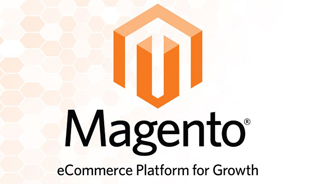 E-commerce Business with Vibrant Info - The Leading Magento Development Company in India