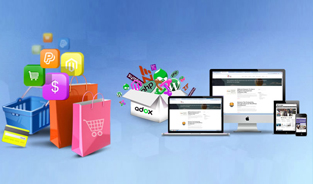 Pick The Best Ecommerce Website Development Company For Business Augmentation