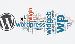 WordPress with Unlimited Benefits