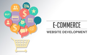 Hire A Web Development Company For A Custom Ecommerce Website