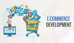 Developing a Best Ecommerce Website