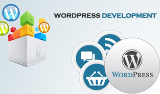 Develop your website with wordpress web development