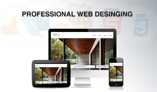 Hire Professional Web Design Company in India