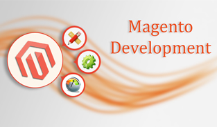 Services Offered by the Magento development Companies