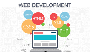 Why We Need a Web Development Company for an Online Business