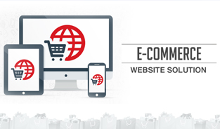 Custom Ecommerce Website Solution Providers in India
