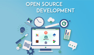 Open Source Development Services