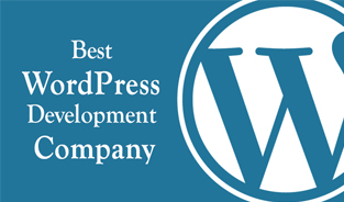 How to Find Best WordPress Development Company?