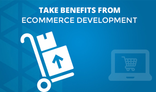 Take Benefit of Excellent Ecommerce Development Service in India