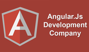 Angular.js Development Company To Develop Great Approach For Your Website
