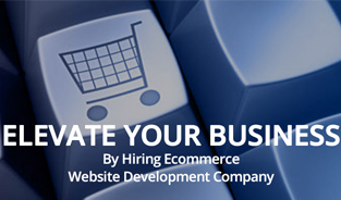 Elevate your Business by Hiring Ecommerce Website Development Company