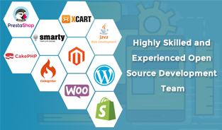 Highly Skilled and Experienced Open Source Development Team