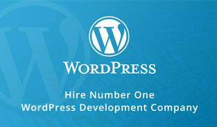 Hire Number One WordPress Development Company