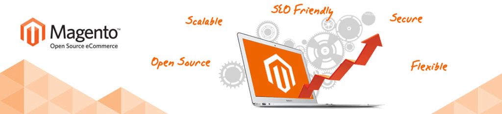 Magento Web Development Services Bangalore