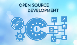 Professional Open Source Development Team to Build your Website