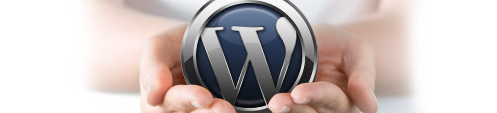 Improve Content Development Skill with WordPress Development