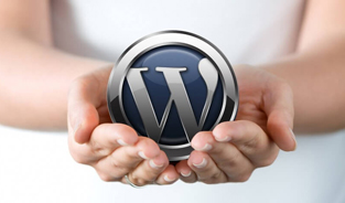 Improve Content Development Skill with WordPress Development