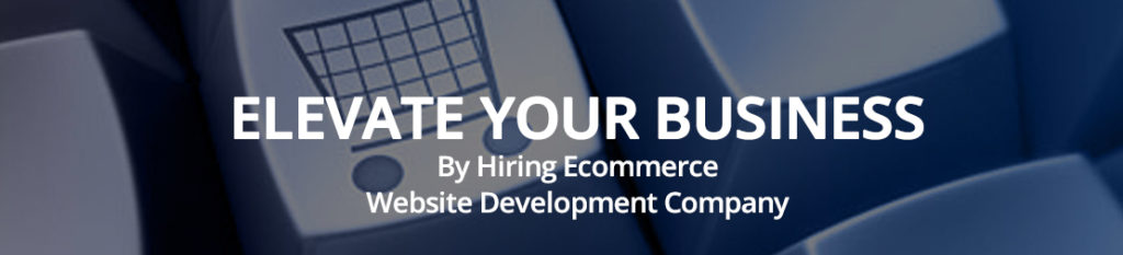 Ecommerce Website Development Company