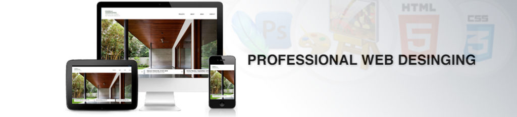 Professional Web Design Company in India