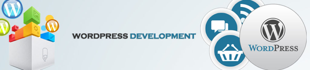 WordPress Development Services Bangalore